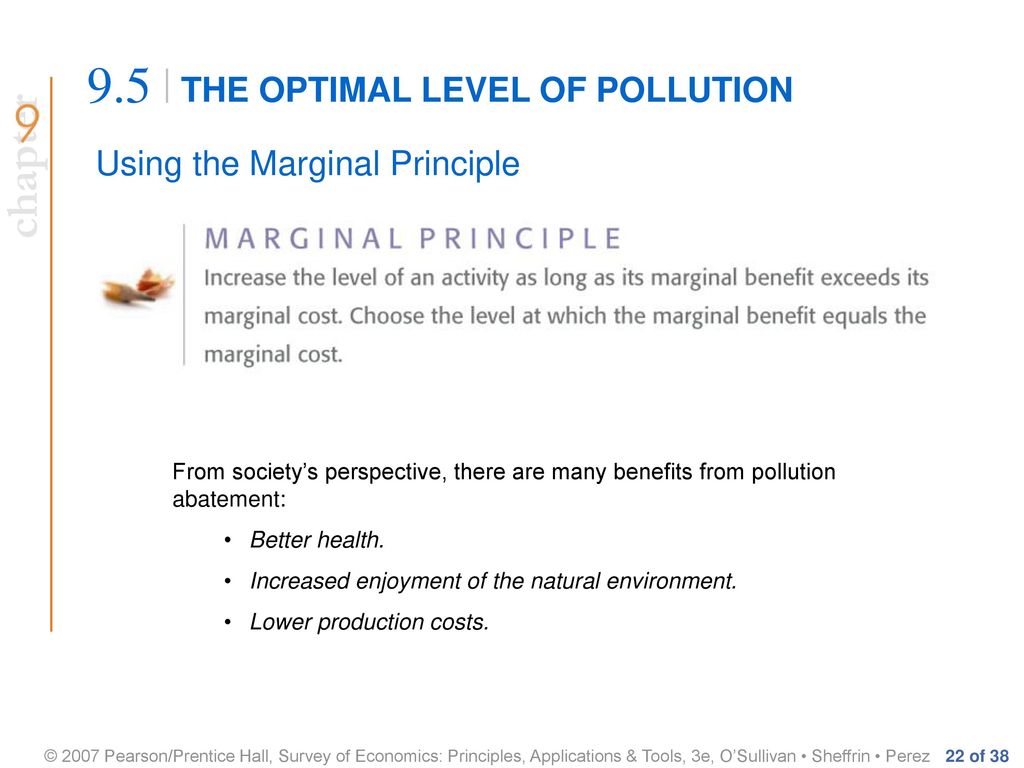 THE OPTIMAL LEVEL OF POLLUTION