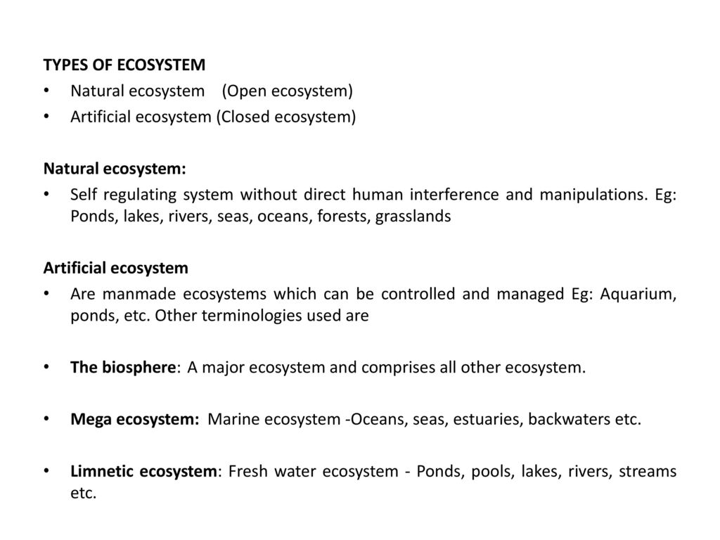 mega ecosystem