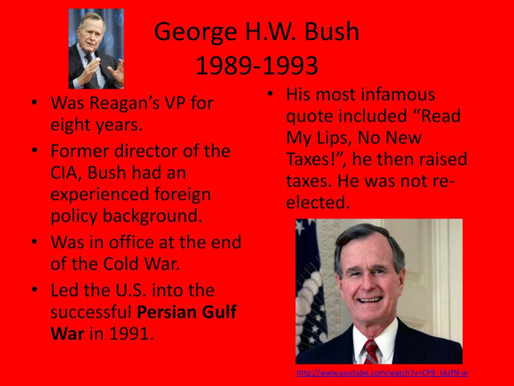 Read My Lips No More Bush 1993