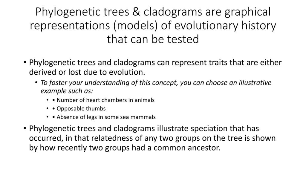 Phylogenetic trees & cladograms are graphical representations (models) of evolutionary history that can be tested