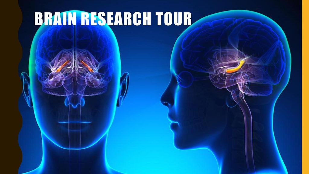 Brain research tour