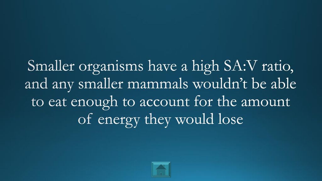 Smaller organisms have a high SA:V ratio, and any smaller mammals wouldn’t be able to eat enough to account for the amount of energy they would lose