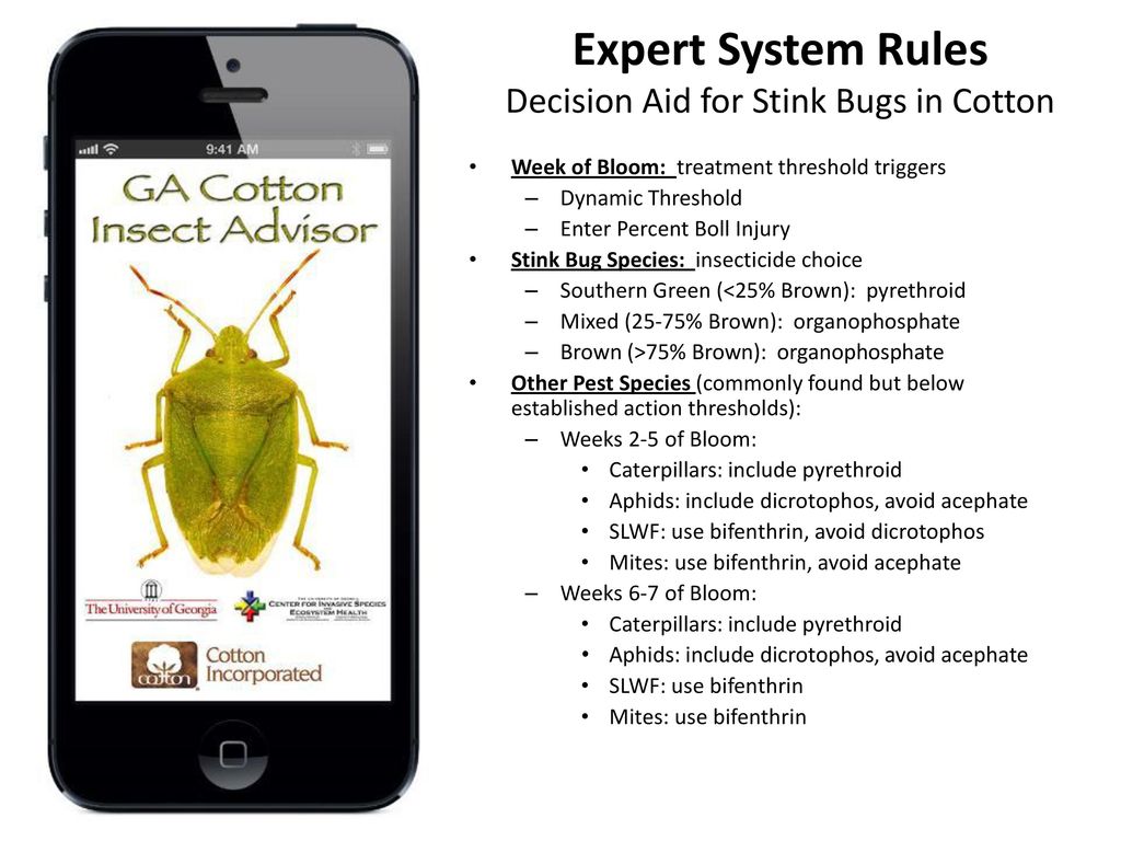Expert System Rules Decision Aid for Stink Bugs in Cotton