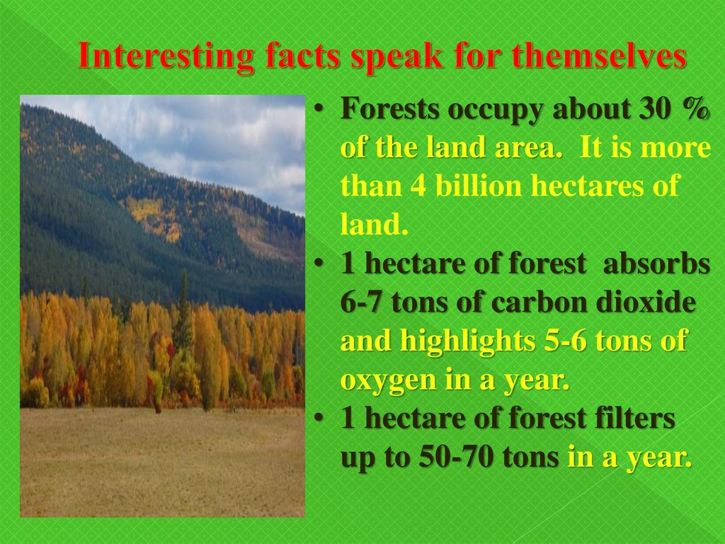 The Green Lungs Of Our Planet Done By Aredakov Sergey Shamov Egor Ppt Download The Green Lungs Of Our Planet Done By Aredakov Sergey Shamov Egor Ppt Download