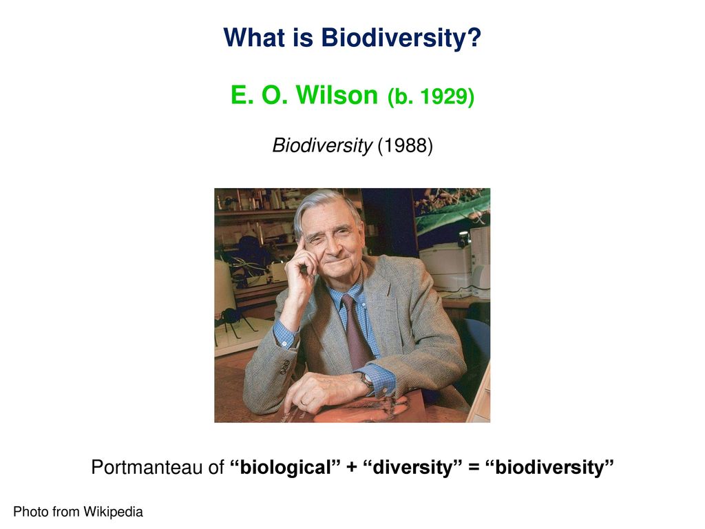 Biodiversity. - ppt download