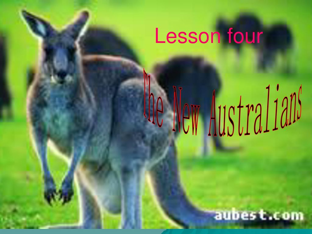 Lesson four The New Australians