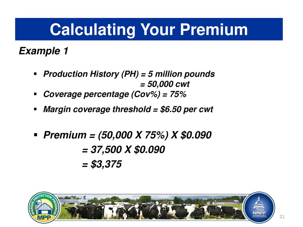 Margin Protection Program Ppt Download margin-protection-program-ppt-download