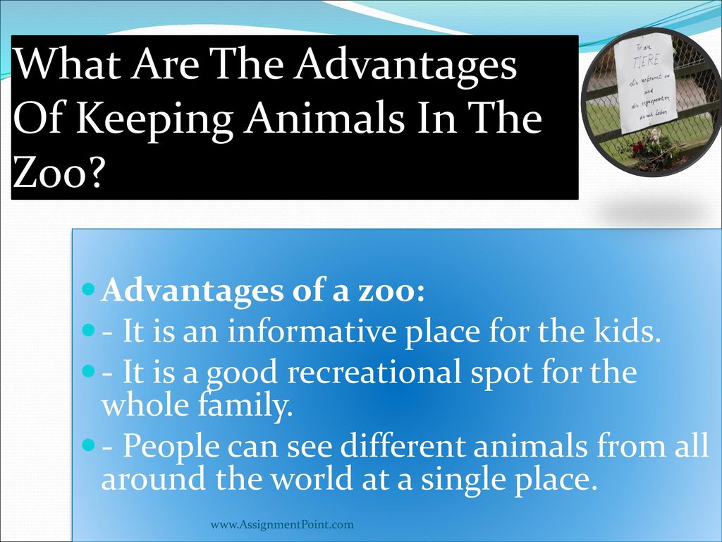TOPICS NAME: Are our zoos cruel to wild animals. - ppt download