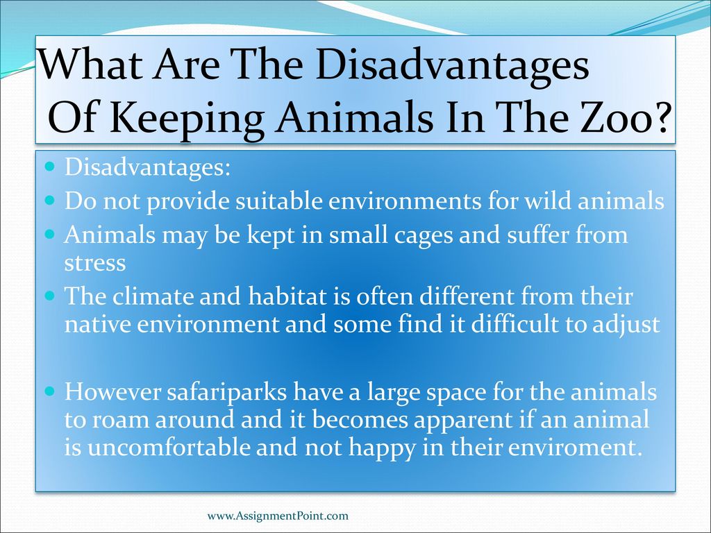 TOPICS NAME: Are our zoos cruel to wild animals. - ppt download