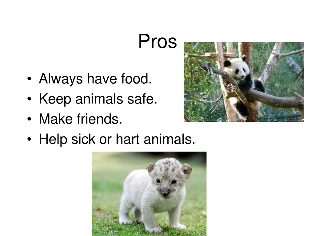pros and cons of keeping animals in captivity