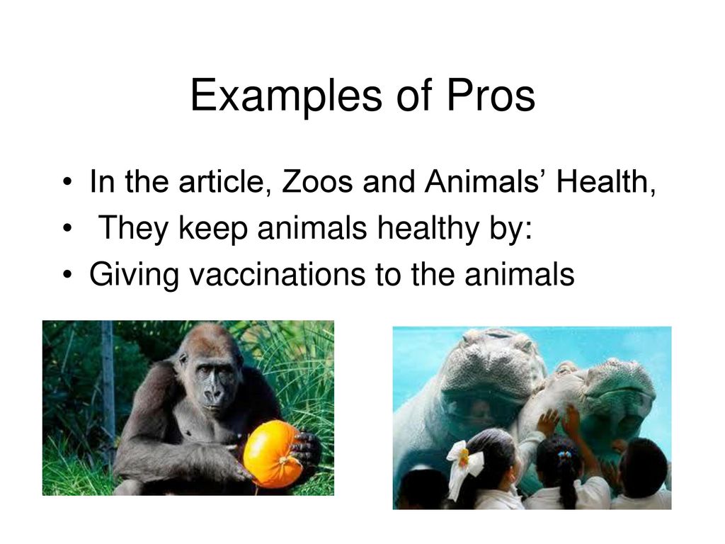 Pros and Cons From the Zoo - ppt download