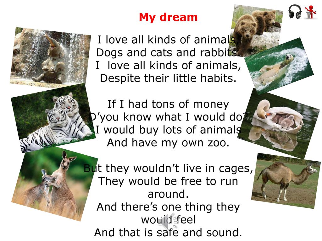 Do they like animals. I Love all kinds of animals стих. Стихи на английском. Стихи на тему Дикие животные на английском языке. Стихи на английском языке для детей животные.
