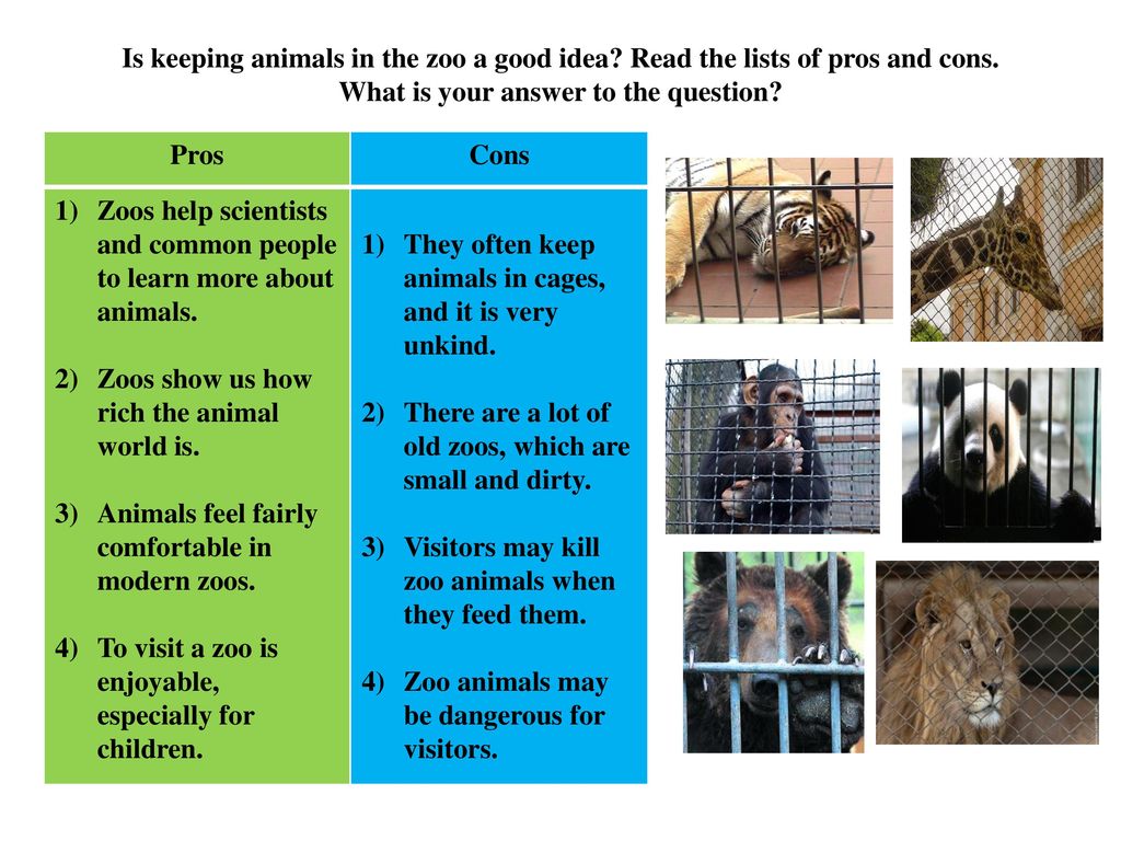 Animal essay. Pros and cons зоопарка. Презентация at the Zoo. Открытый урок по английскому языку по теме зоопарк для детей. At the Zoo задания 2 класс.