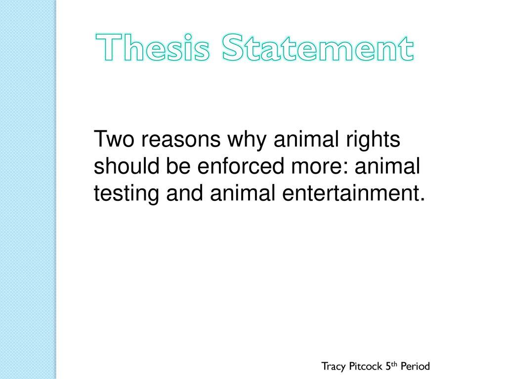 animal rights thesis