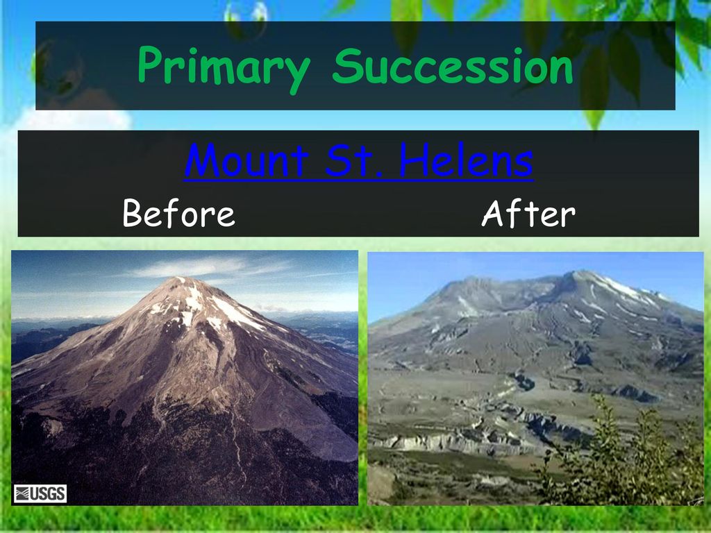 Volcano Primary Succession
