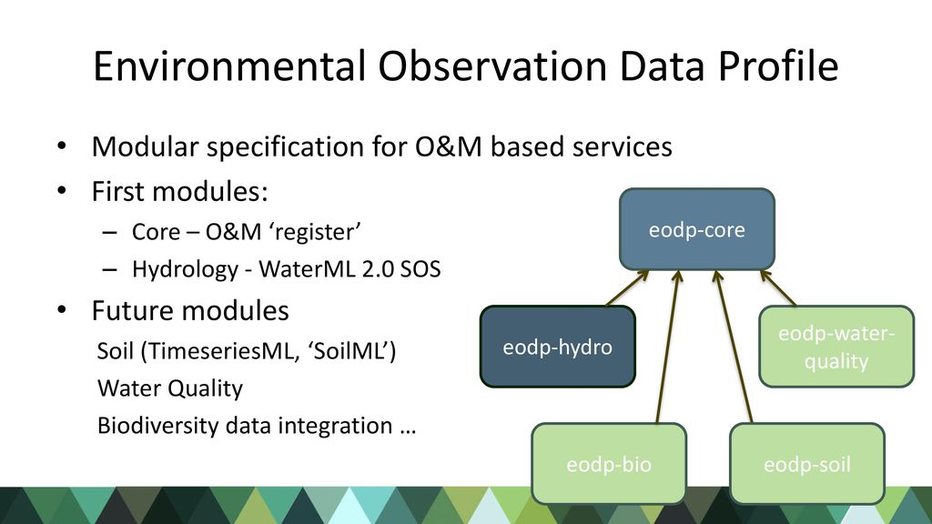 Environmental Observation Data Profile