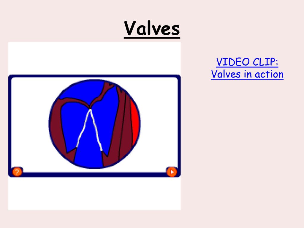 VIDEO CLIP: Valves in action