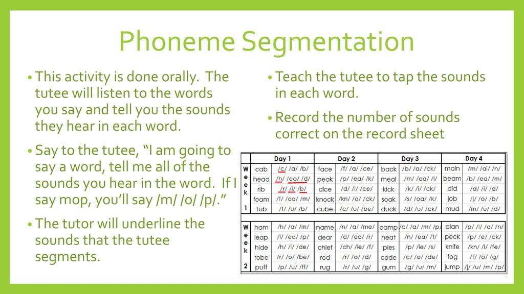 Kindergarten Mentor Tutoring Ppt Download