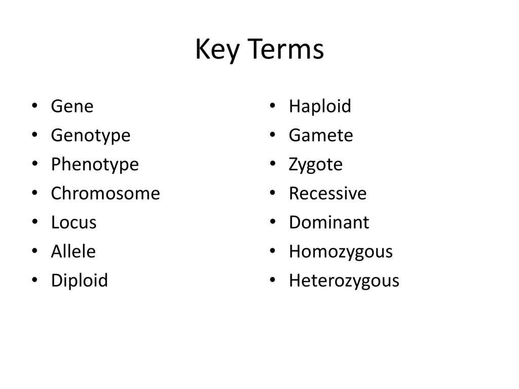 Key Terms Gene Genotype Phenotype Chromosome Locus Allele Diploid