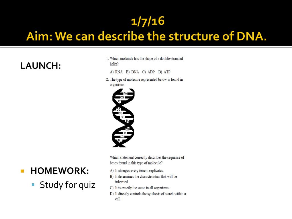 1/7/16 Aim: We can describe the structure of DNA.