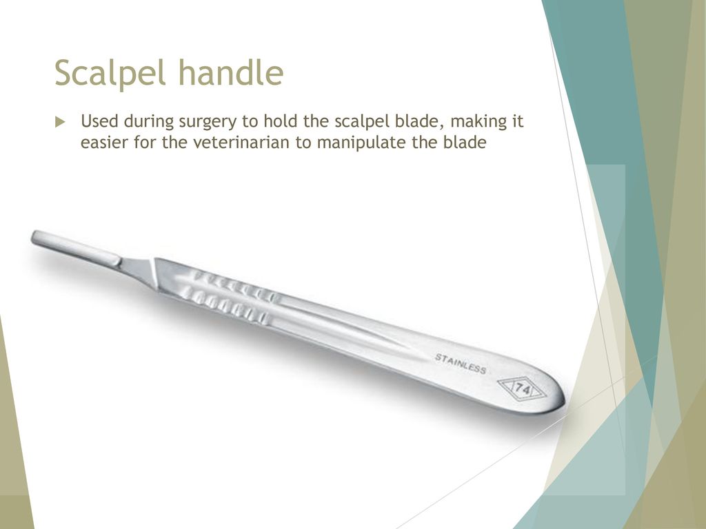 Scalpel handle Used during surgery to hold the scalpel blade, making it easier for the veterinarian to manipulate the blade.