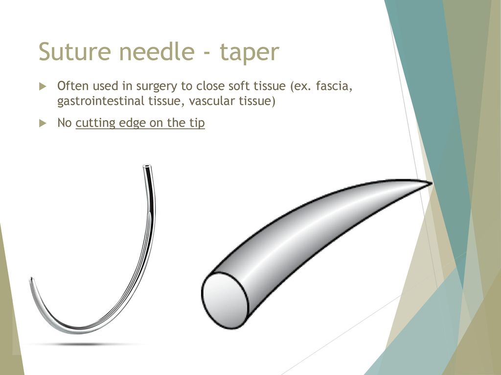 Suture needle - taper Often used in surgery to close soft tissue (ex. fascia, gastrointestinal tissue, vascular tissue)