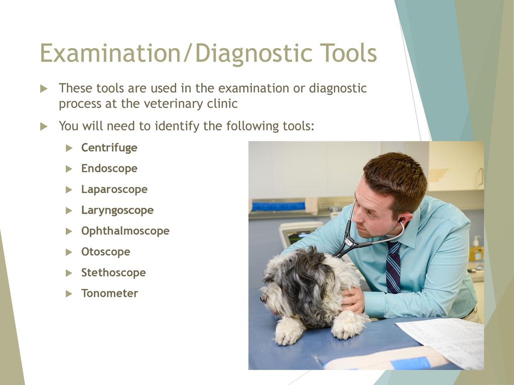 Examination/Diagnostic Tools