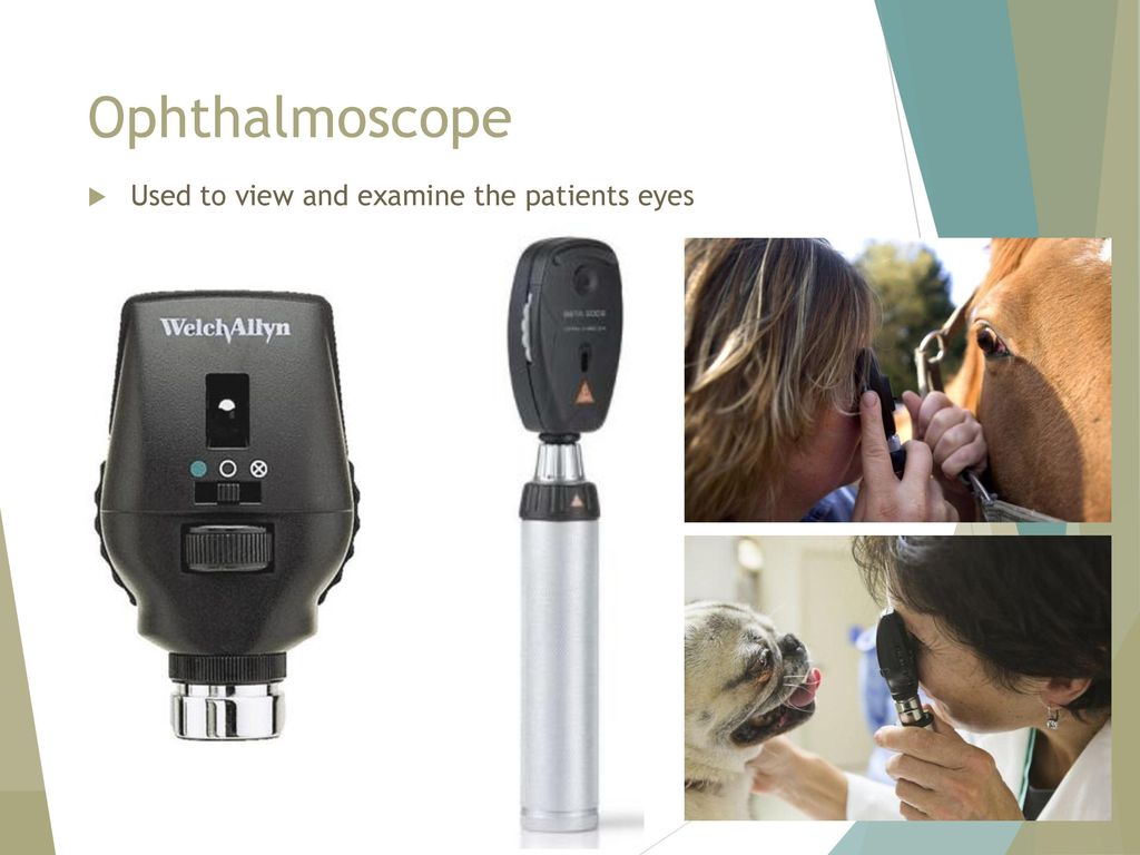 Ophthalmoscope Used to view and examine the patients eyes