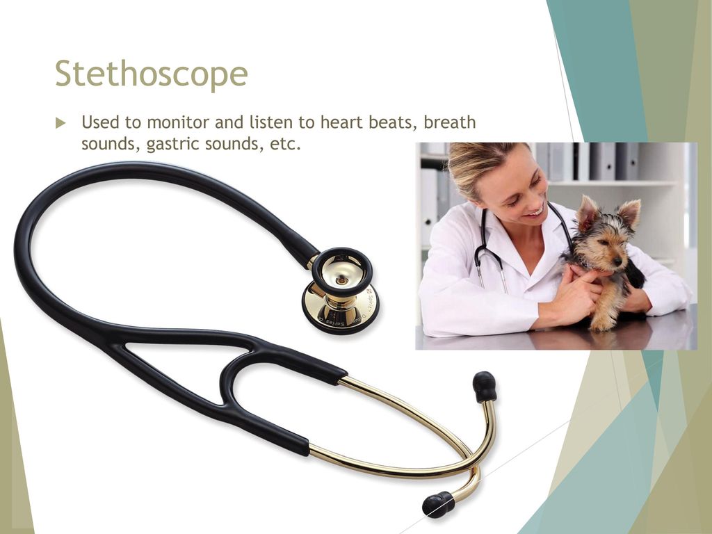 Stethoscope Used to monitor and listen to heart beats, breath sounds, gastric sounds, etc.