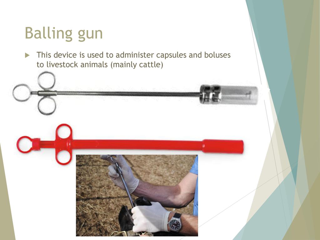 Balling gun This device is used to administer capsules and boluses to livestock animals (mainly cattle)
