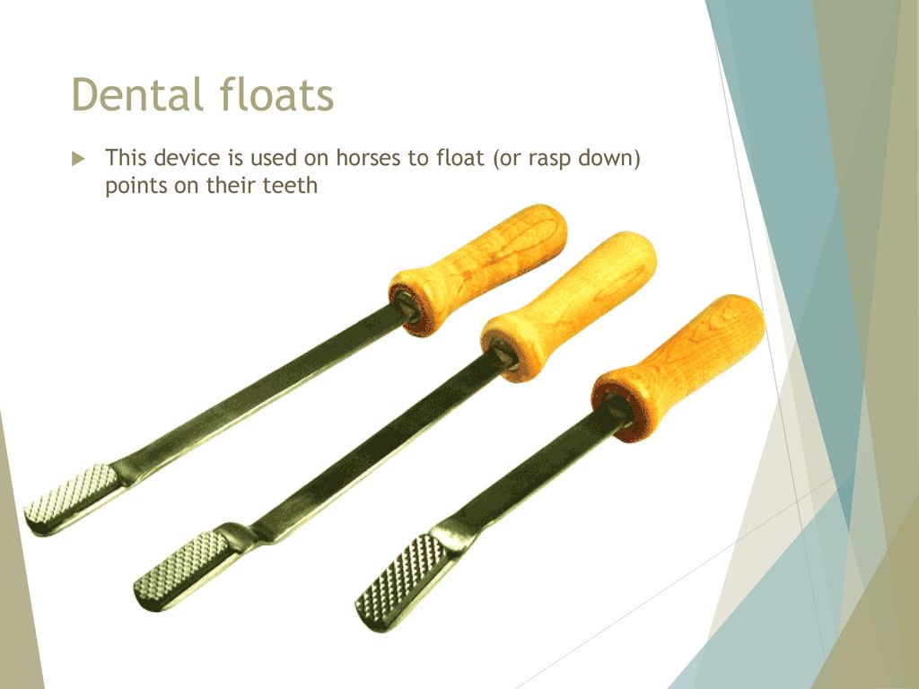 Dental floats This device is used on horses to float (or rasp down) points on their teeth