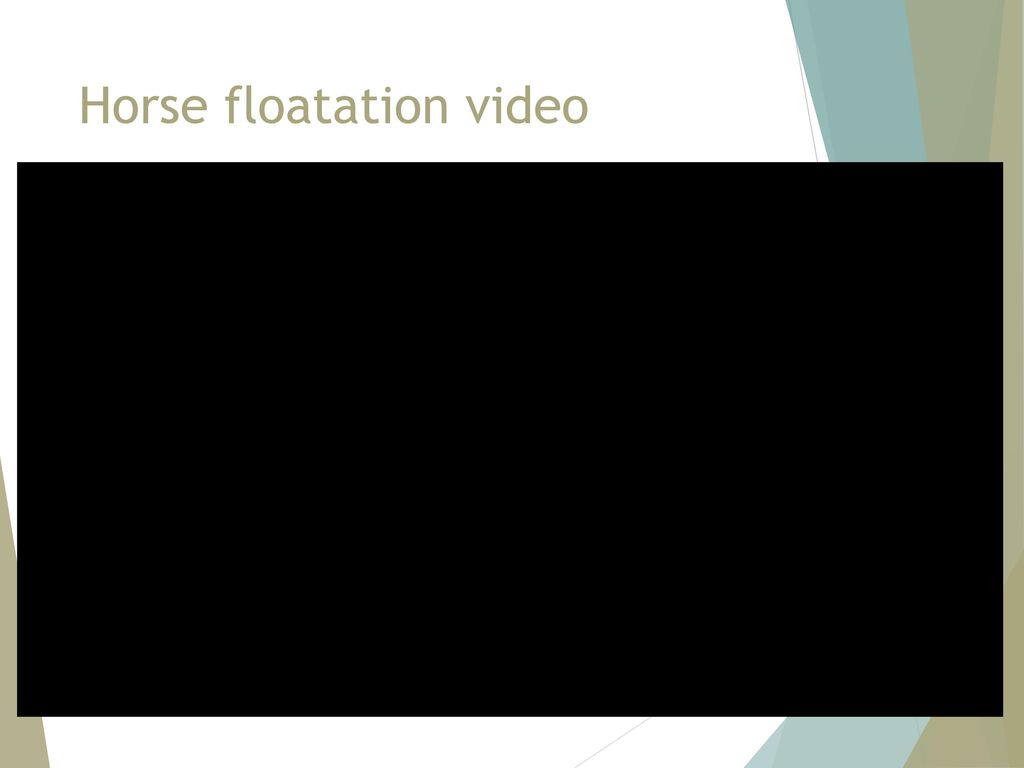 Horse floatation video