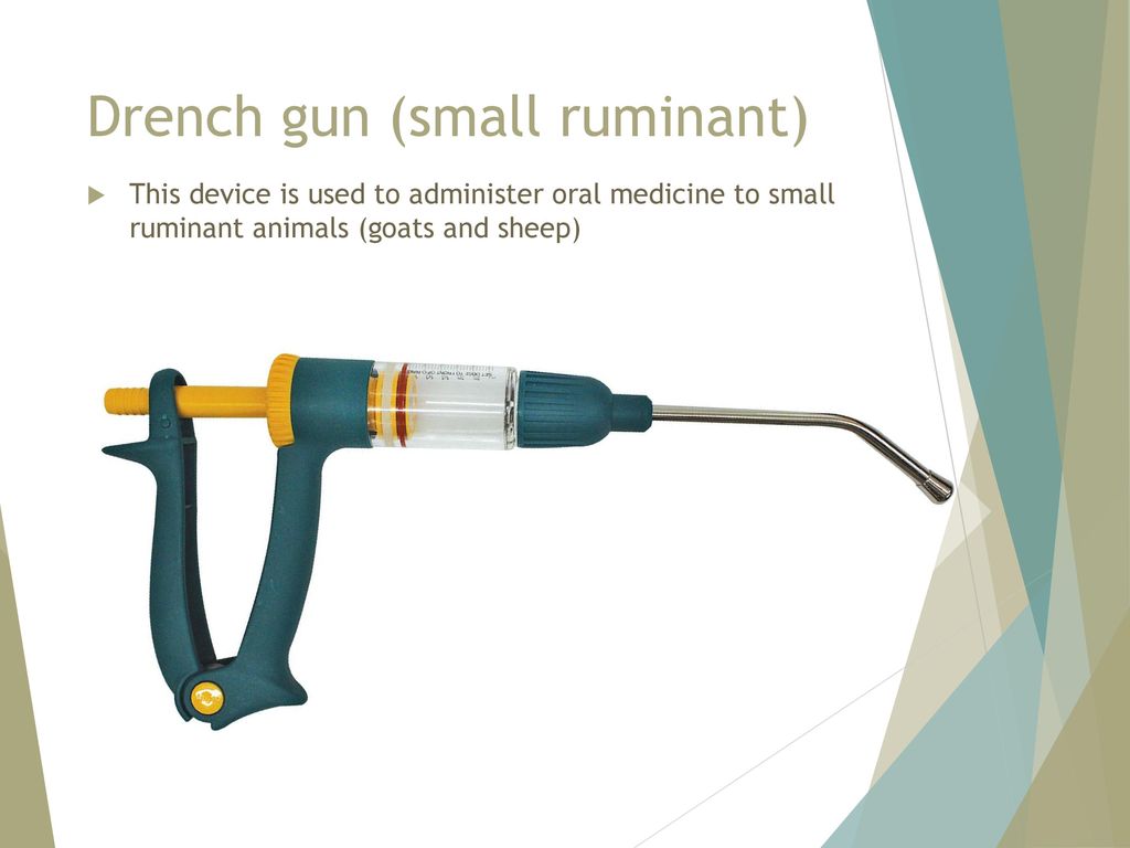 Drench gun (small ruminant)