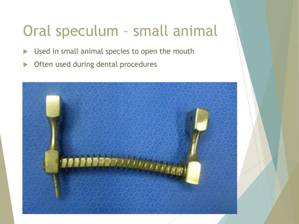 Oral speculum – small animal