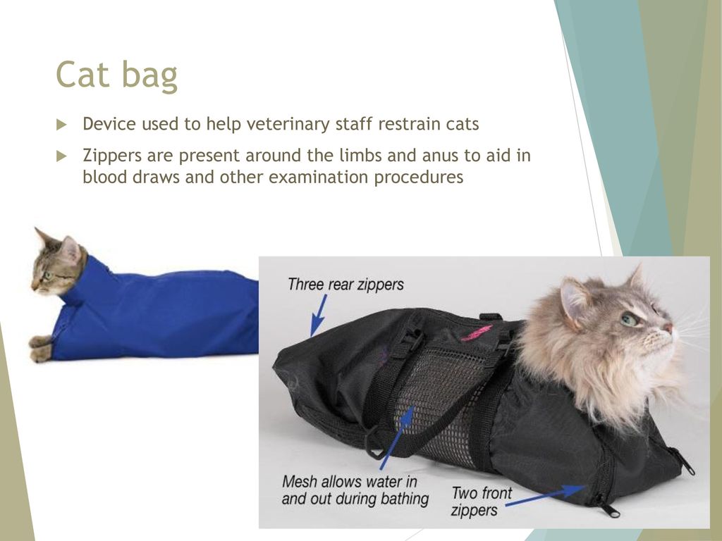 Cat bag Device used to help veterinary staff restrain cats