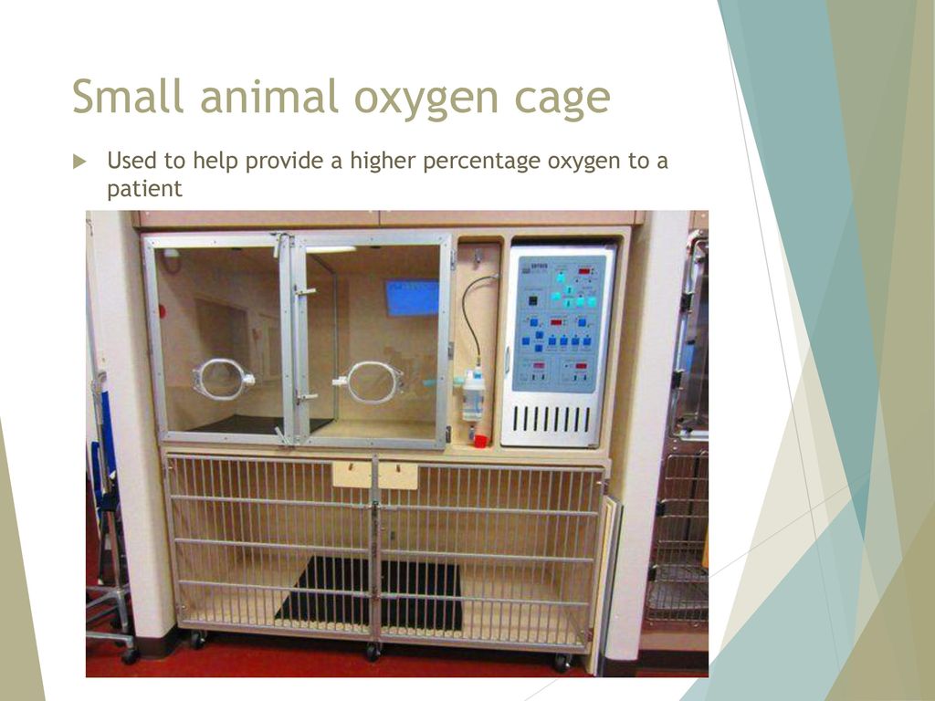Small animal oxygen cage