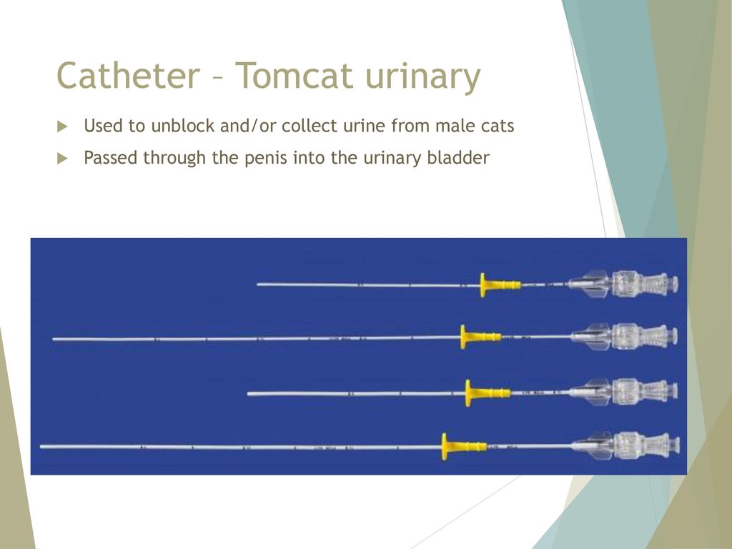 Catheter – Tomcat urinary