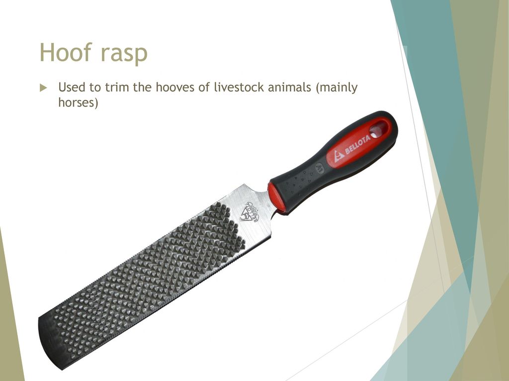 Hoof rasp Used to trim the hooves of livestock animals (mainly horses)