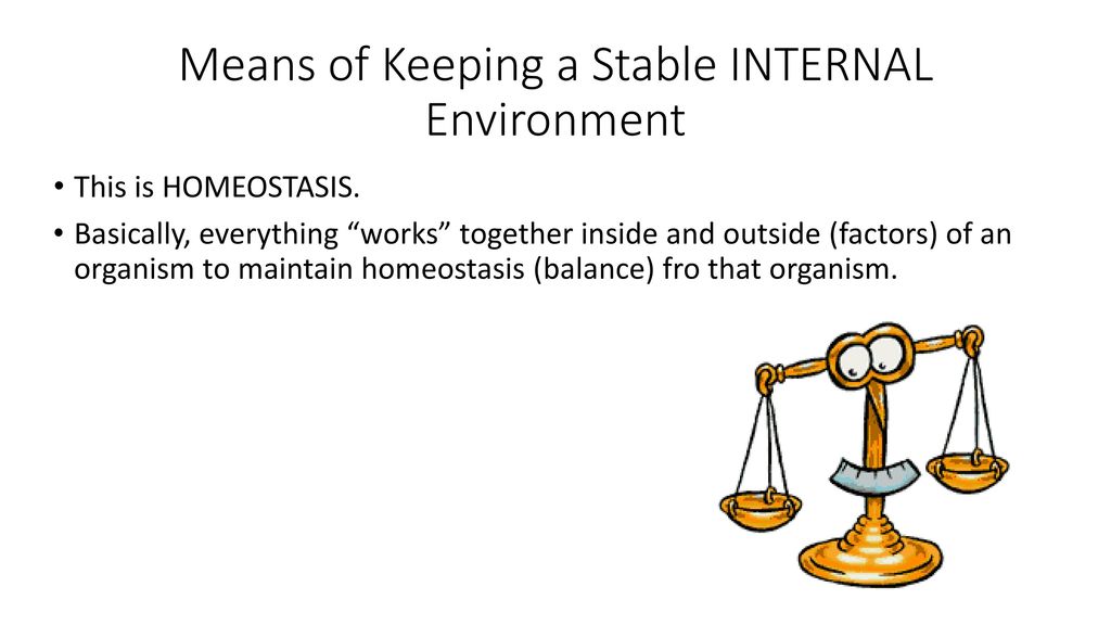 Means of Keeping a Stable INTERNAL Environment