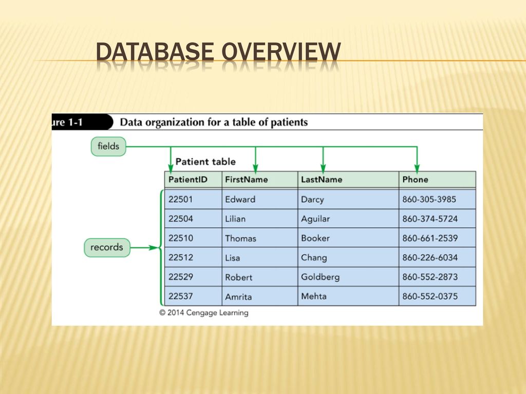Introduction to databases microsoft access ppt download