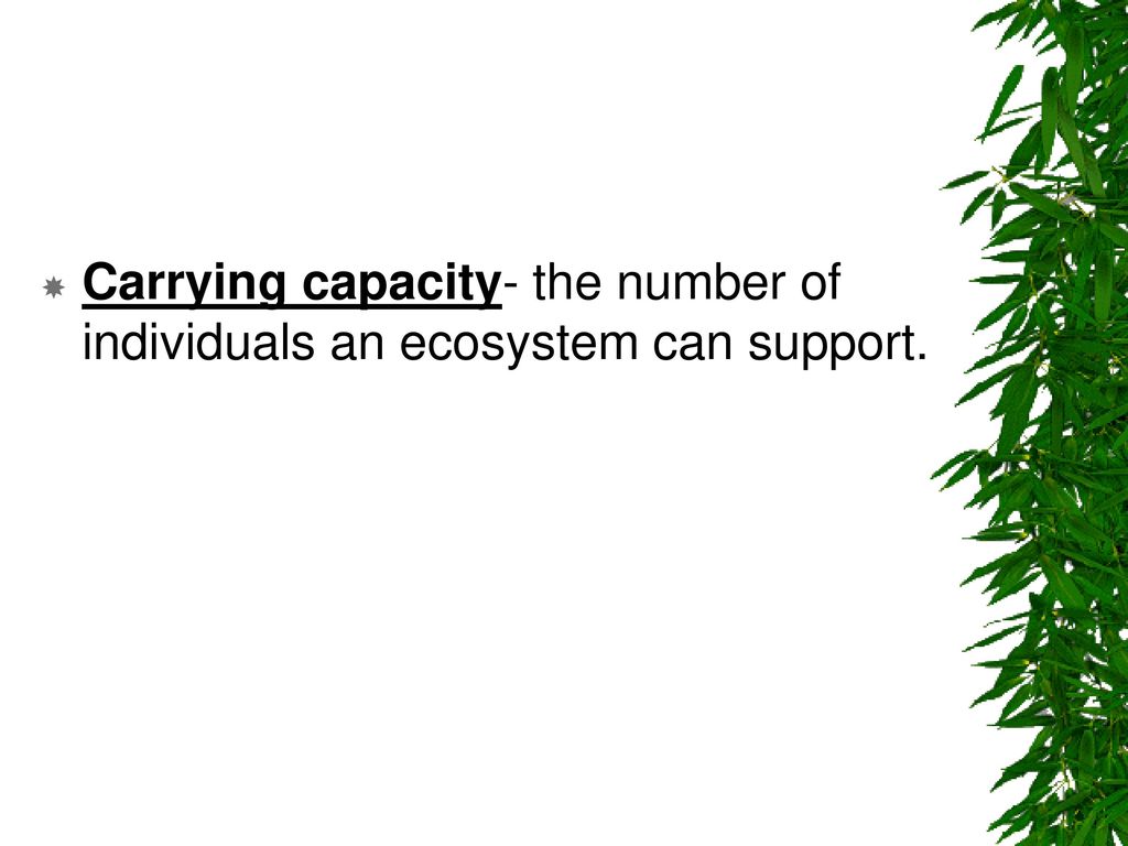Carrying capacity- the number of individuals an ecosystem can support.