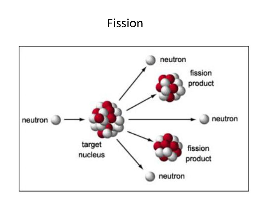 Fission перевод. Fission formation грибы. Cone Fission Ирис. Axxelo Fission. Fission 8.
