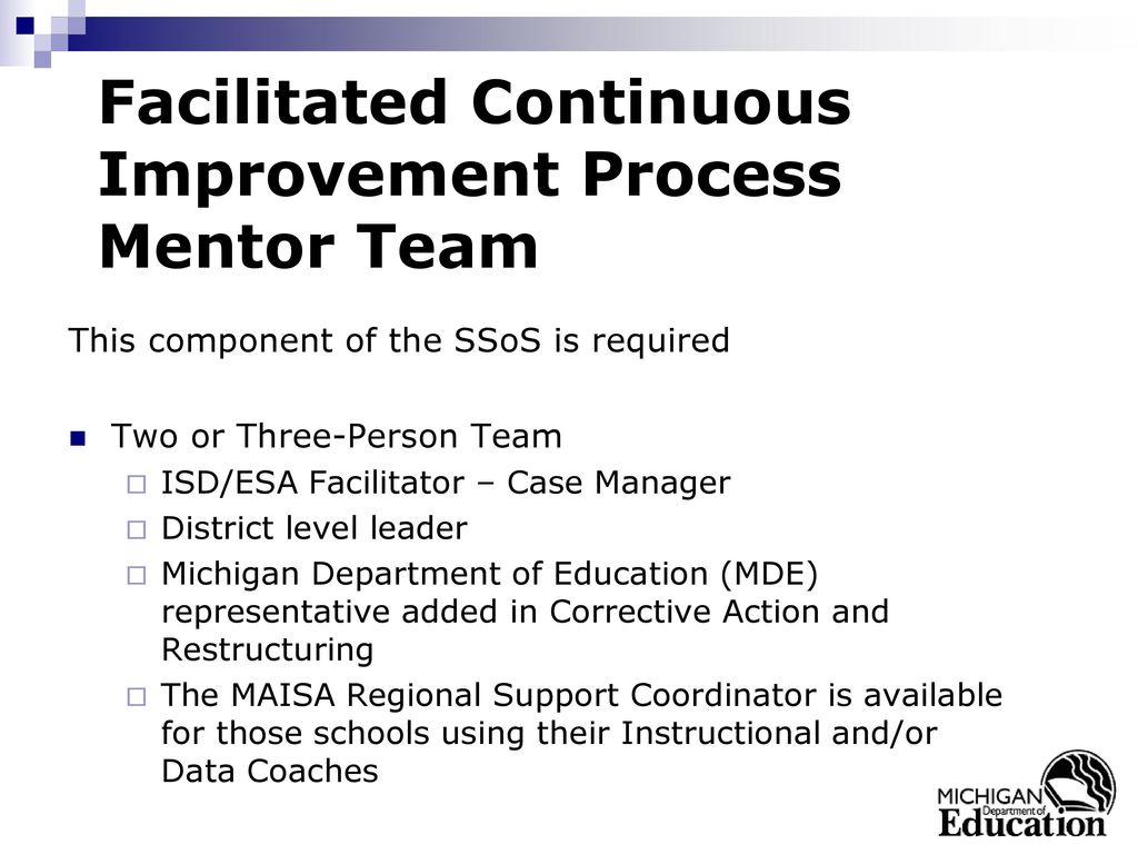 Facilitated Continuous Improvement Process Mentor Team