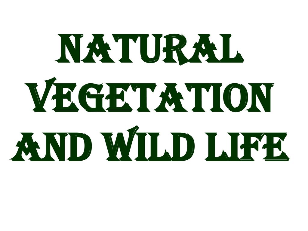 NATURAL VEGETATION AND WILD LIFE