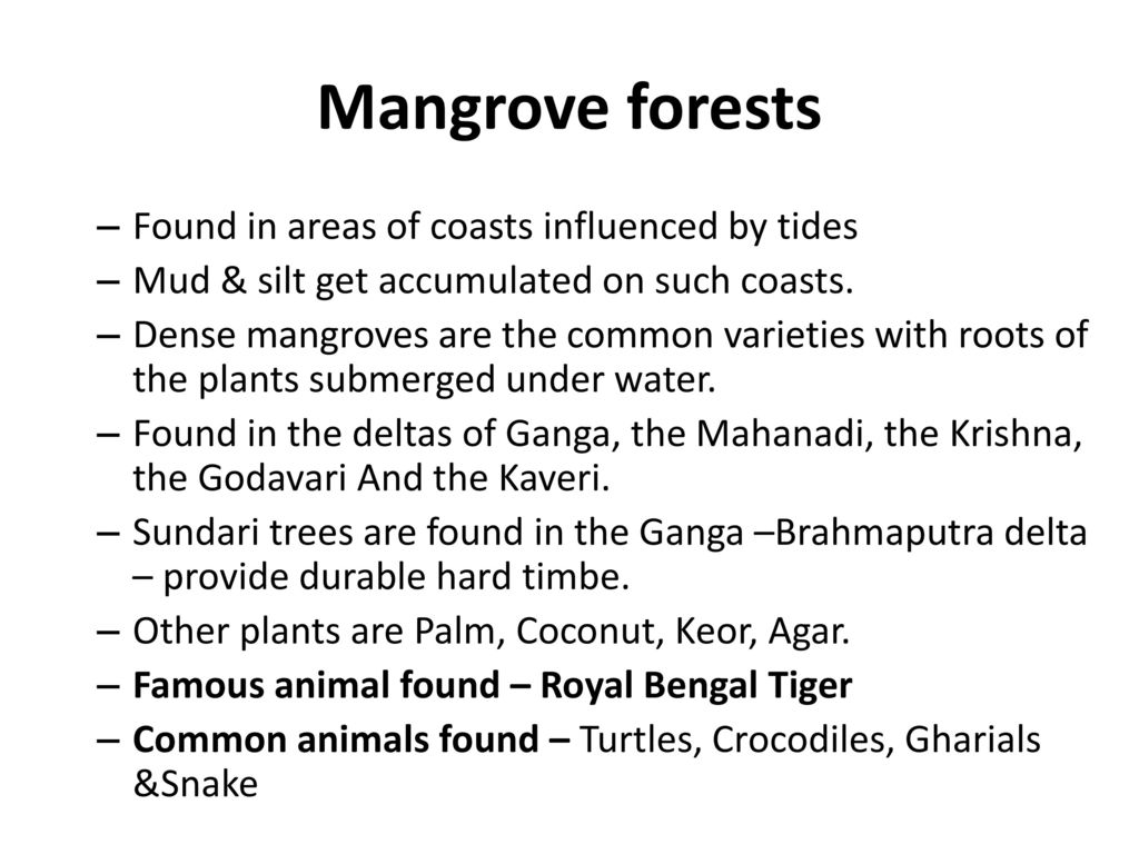 Mangrove forests Found in areas of coasts influenced by tides