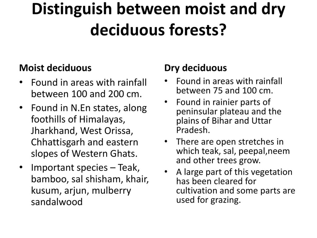 Distinguish between moist and dry deciduous forests