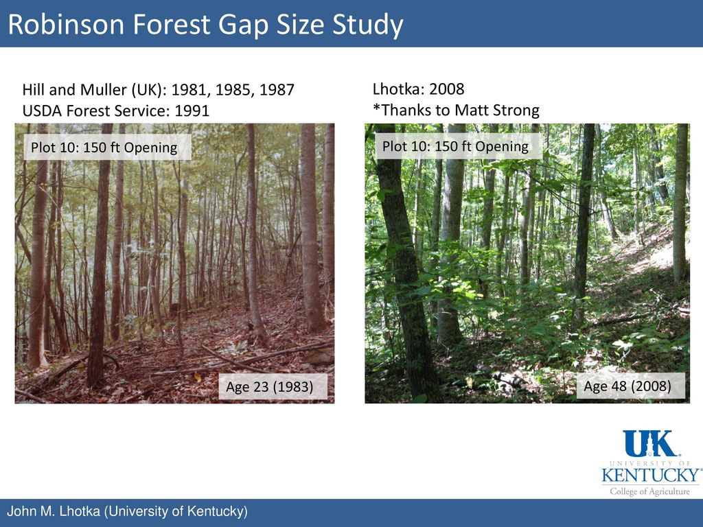 Robinson Forest Gap Size Study