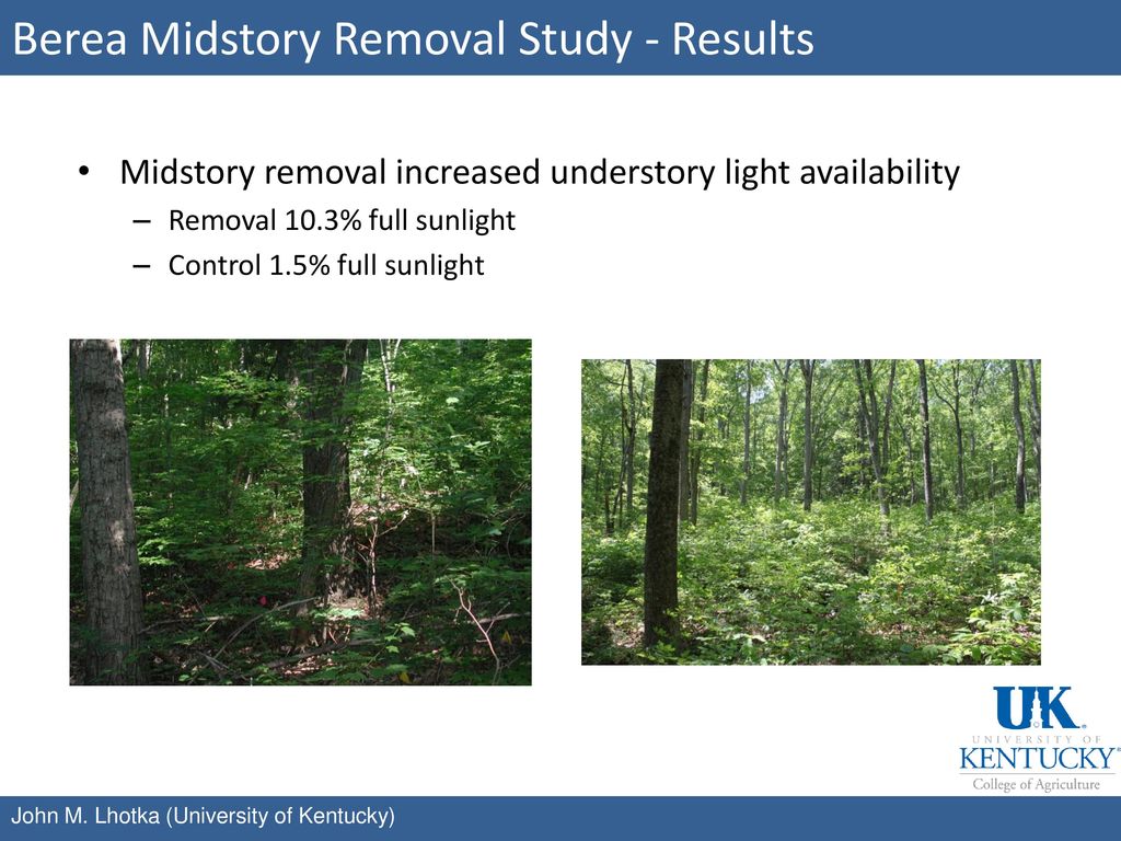 Berea Midstory Removal Study - Results