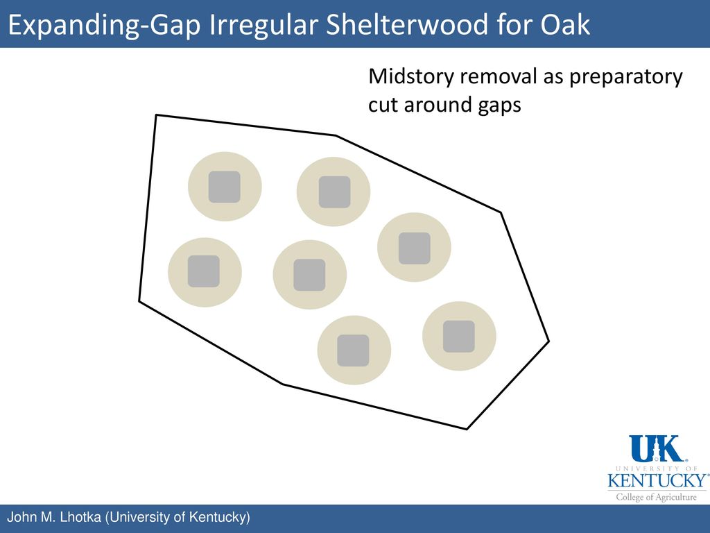Expanding-Gap Irregular Shelterwood for Oak