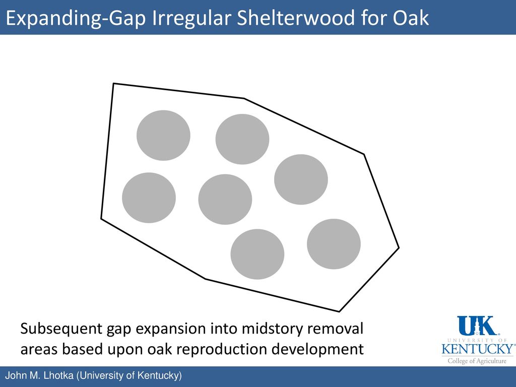 Expanding-Gap Irregular Shelterwood for Oak